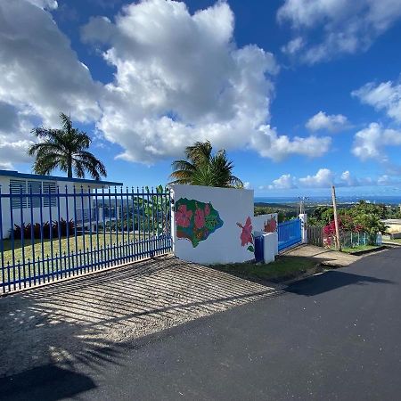 Million Dollar View In Puerto Rico Villa Luquillo Kültér fotó