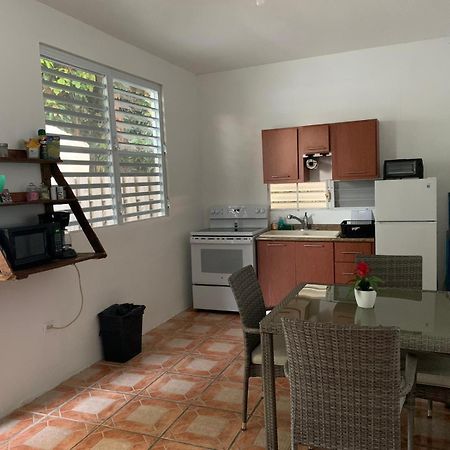 Million Dollar View In Puerto Rico Villa Luquillo Kültér fotó