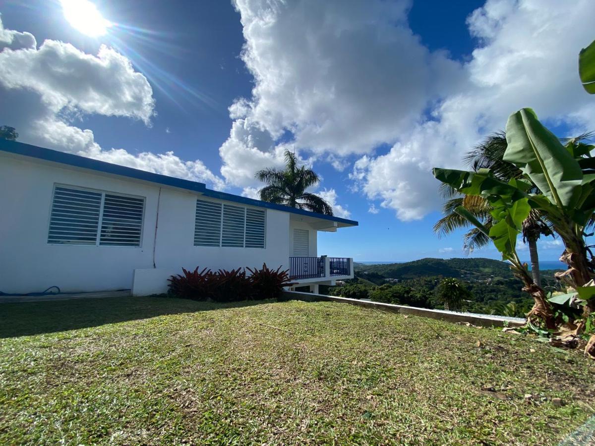Million Dollar View In Puerto Rico Villa Luquillo Kültér fotó