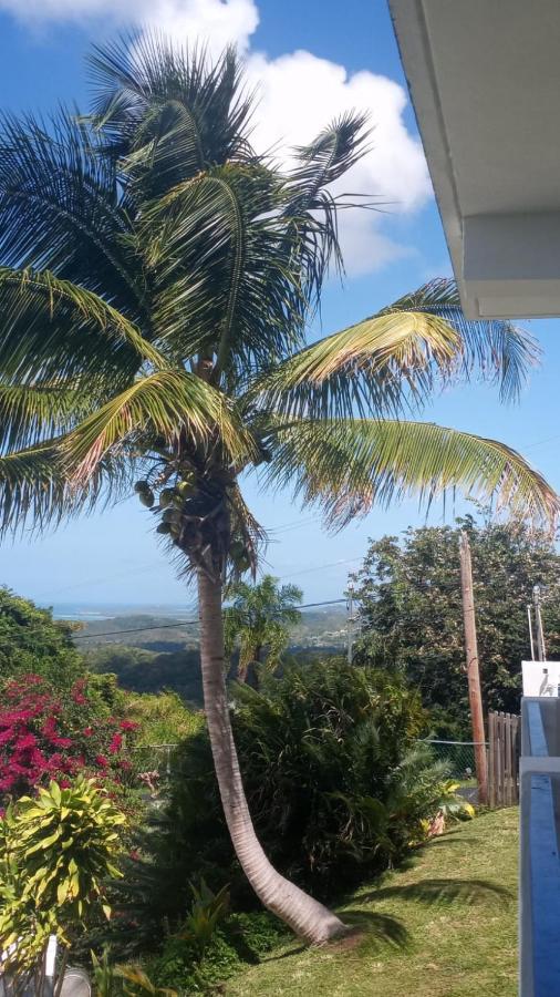 Million Dollar View In Puerto Rico Villa Luquillo Kültér fotó