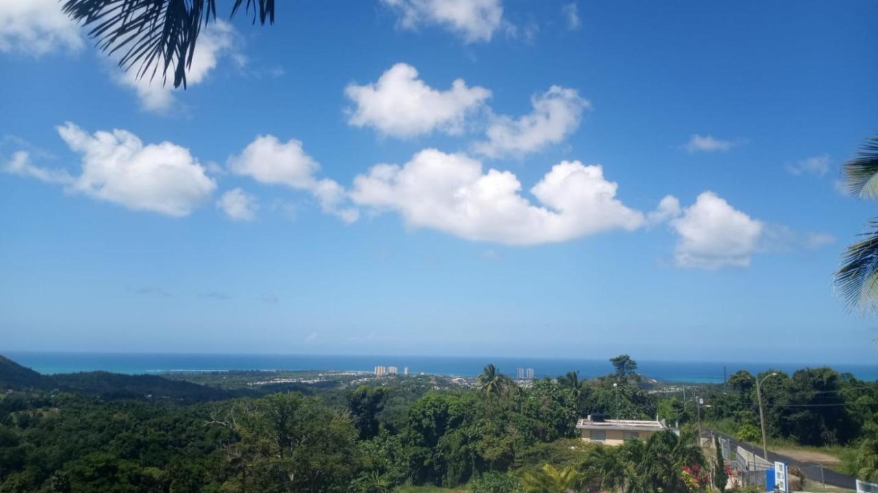 Million Dollar View In Puerto Rico Villa Luquillo Kültér fotó