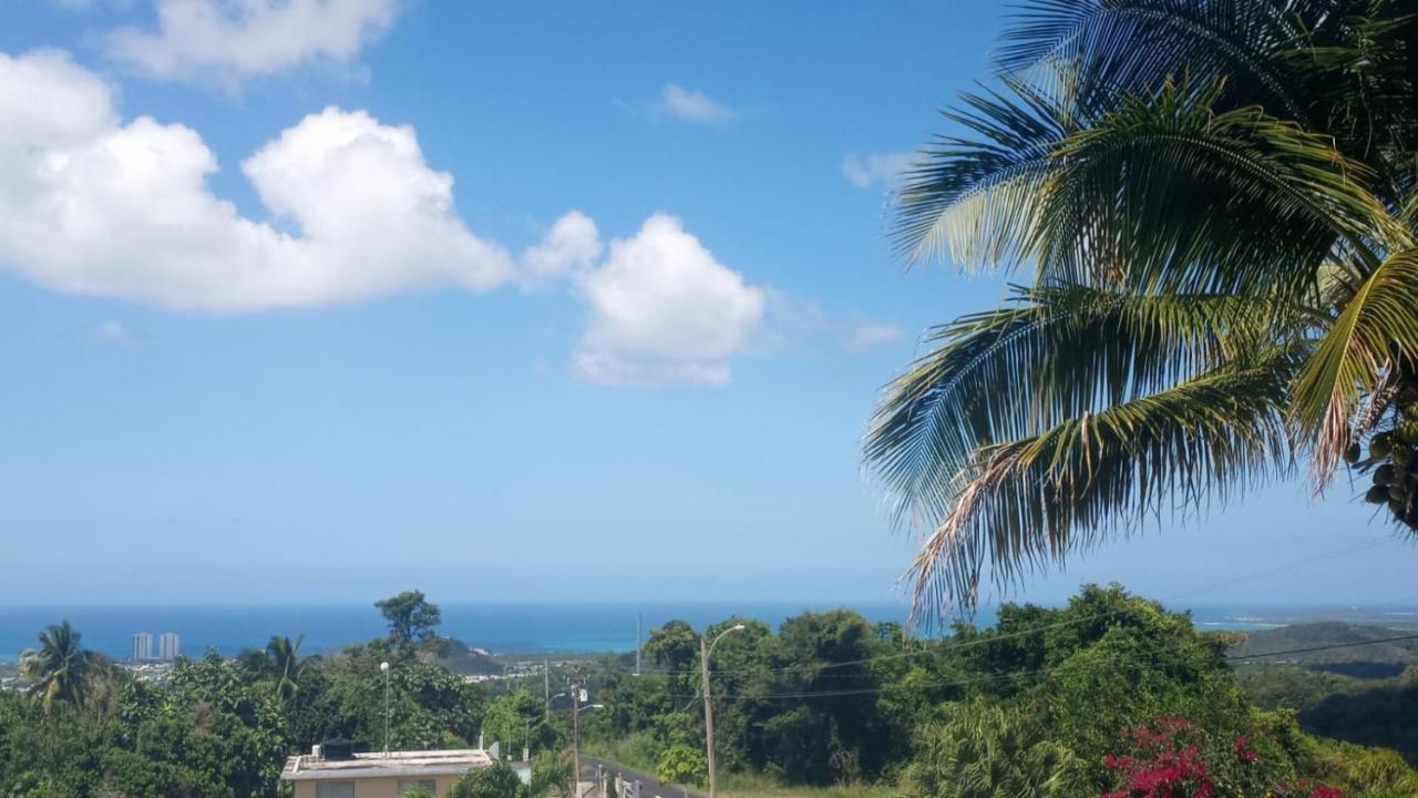 Million Dollar View In Puerto Rico Villa Luquillo Kültér fotó
