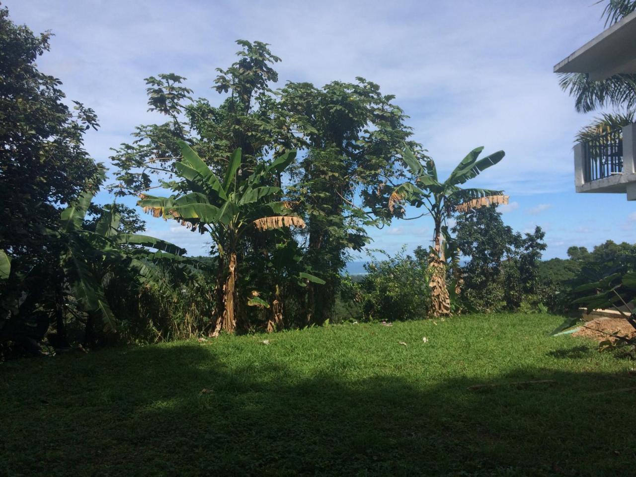 Million Dollar View In Puerto Rico Villa Luquillo Kültér fotó